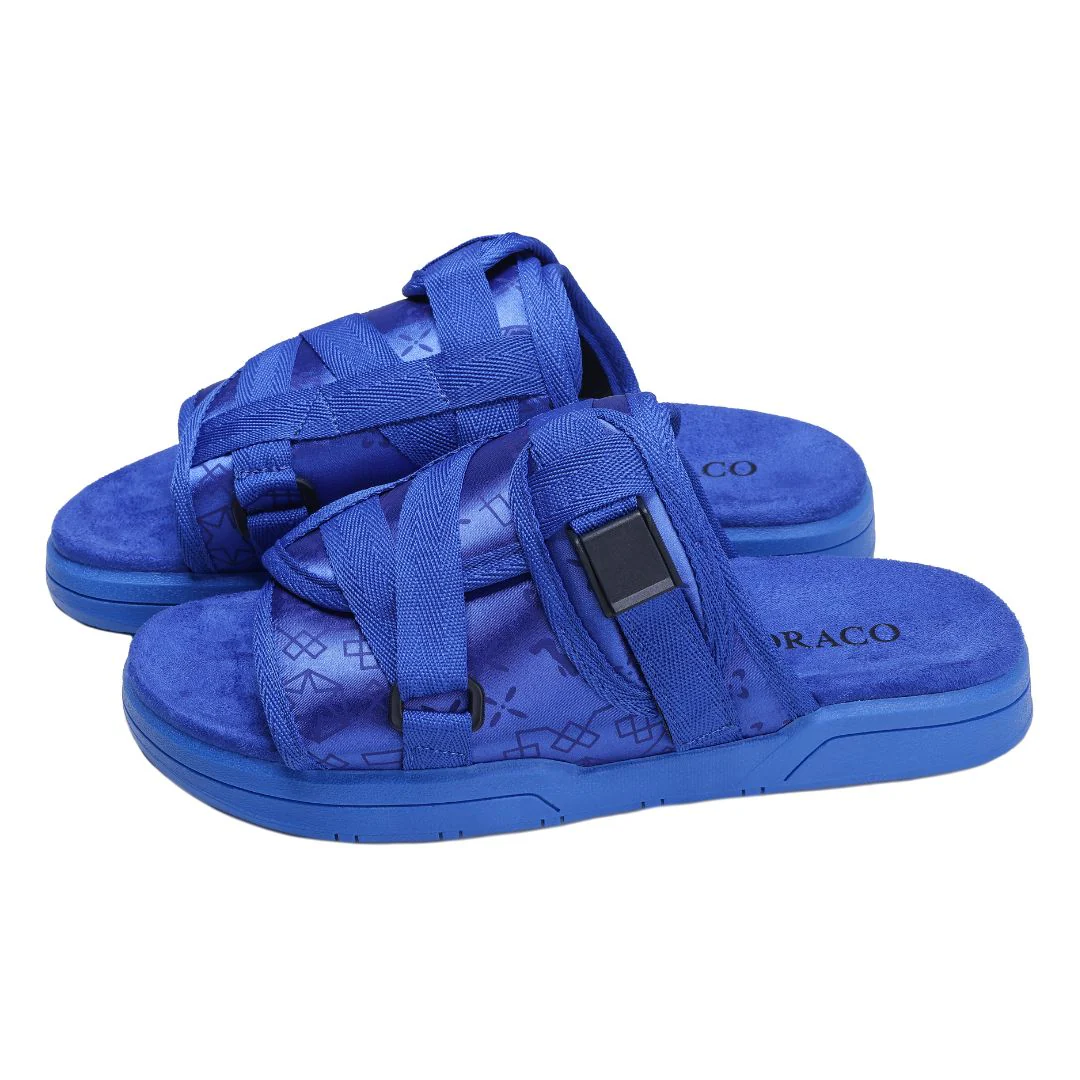 Original DracoSlides - Image 17